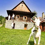Hedvika